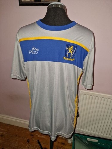 Dempsey gaa jersey adult - gaa,